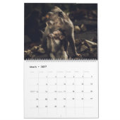Home/Kantoor Wandkalender Dierenkalender Kalender (Mar 2027)