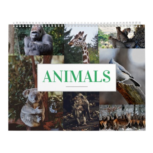 Home/Kantoor Wandkalender Dierenkalender Kalender (Hoes)