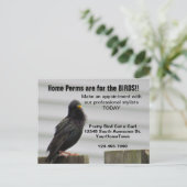 Home Perm Salon Mailer Briefkaart (Staand voorkant)