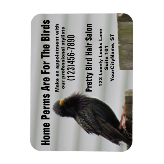 Home Perm Salon Stylist Magneet (Verticaal)