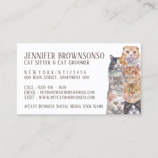 Home Pet Cats Visitekaartje (Achterkant)