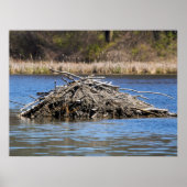 Home Poster (Voorkant)