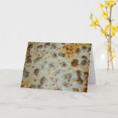 "Home Run Sause Pizza" - Gefeliciteerd met je cred Kaart (Gele Bloem)