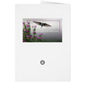 Home Sweet Home (Achterkant)