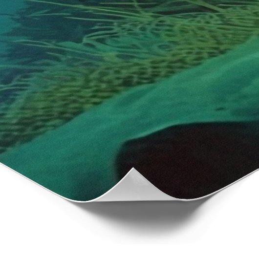 Home Sweet Home Poster (Hoek)