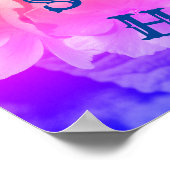 Home Sweet Home Primrose Flowers Poster (Hoek)