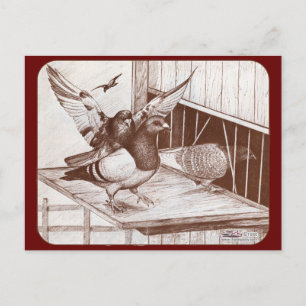 Homecoming Homers Briefkaart