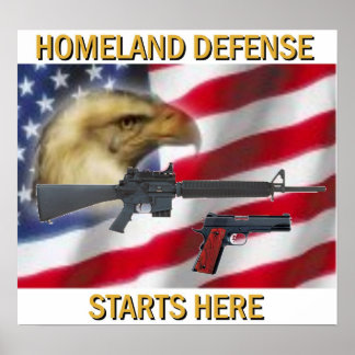 Homeland Defense Poster