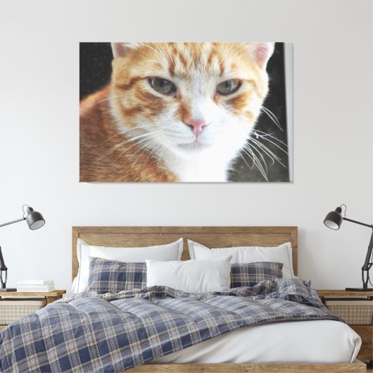 Homeless cat behind the window . canvas afdruk (Insitu (Slaapkamer))