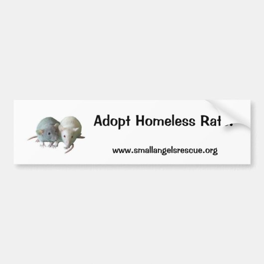 Homeless Rats aannemen! Bumpersticker (Voorkant)