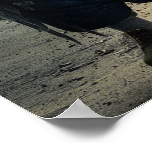 Homeless Trump Poster (Hoek)