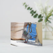 Homepduif Briefkaart (Staand voorkant)