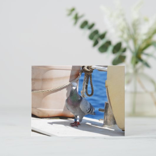 Homepduif Briefkaart (Staand voorkant)