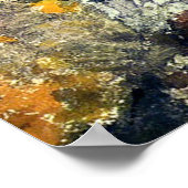 Homer - Adirondack Woods Poster (Hoek)