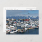 Homer Alaska Briefkaart (Voorkant / Achterkant)
