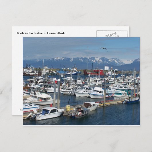 Homer Alaska Briefkaart (Voorkant / Achterkant)