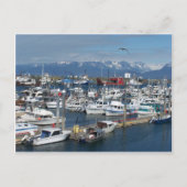 Homer Alaska Briefkaart (Voorkant)