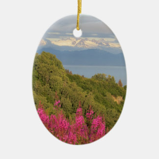 Homer, Alaska-versiering Keramisch Ornament