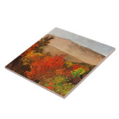 Homer - Autumn Treetops Tegeltje (Zijkant)