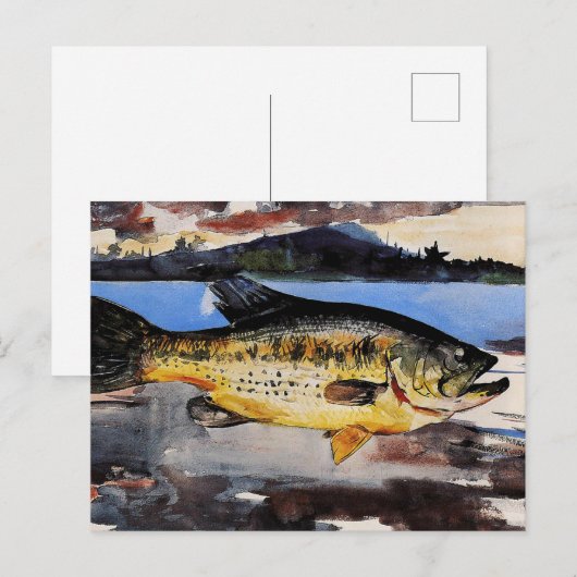 Homer - Bass Briefkaart (Voorkant / Achterkant)