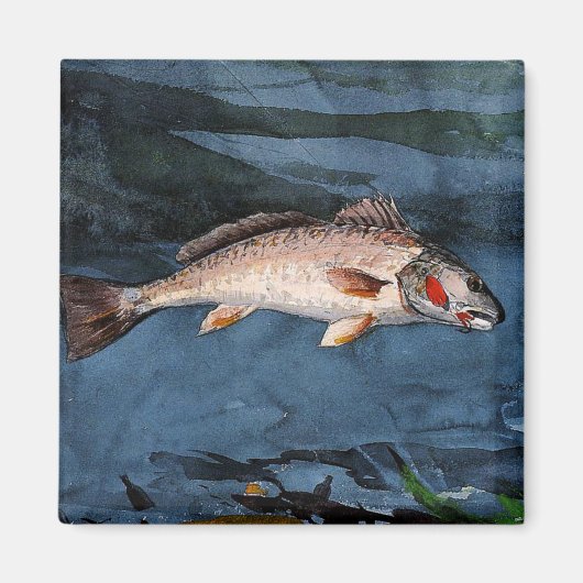 Homer - Channel Bass, Florida, Magneet (Voorkant)