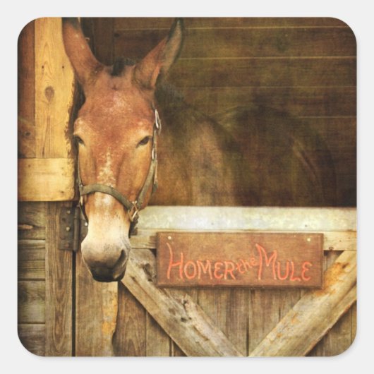 Homer de Mule Vierkante Sticker (Voorkant)