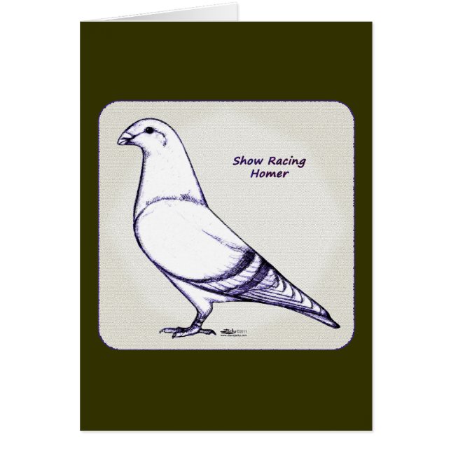 Homer Design (Voorkant)