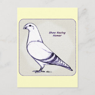 Homer Design Briefkaart