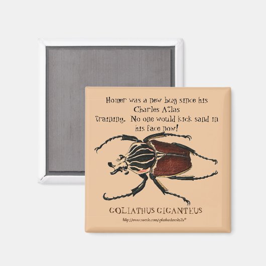 "Homer, het Goliath Beetle" Magneet (Voorkant / Achterkant)