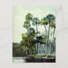 Homer - Homosassa Briefkaart