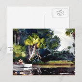 Homer - Homosassa Oerwoud Briefkaart (Voorkant / Achterkant)