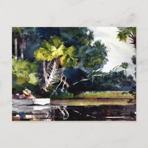 Homer - Homosassa Oerwoud Briefkaart