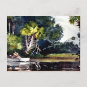 Homer - Homosassa Oerwoud Briefkaart (Voorkant)