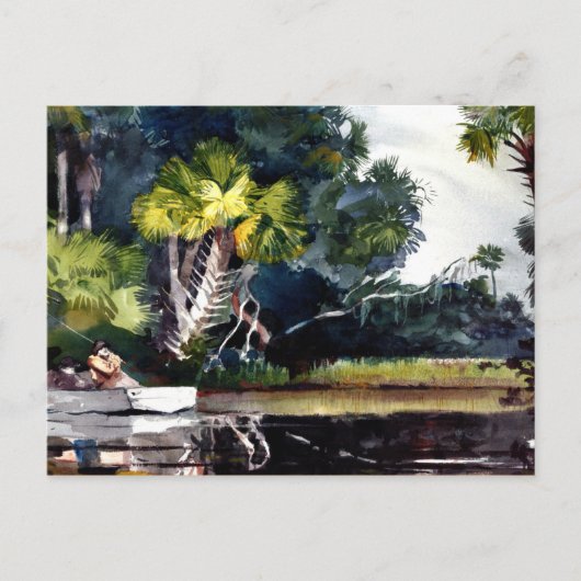 Homer - Homosassa Oerwoud Briefkaart (Voorkant)