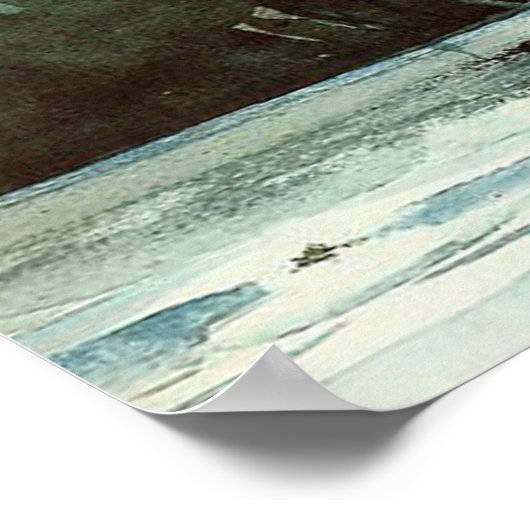 Homer - Homosassa Poster (Hoek)