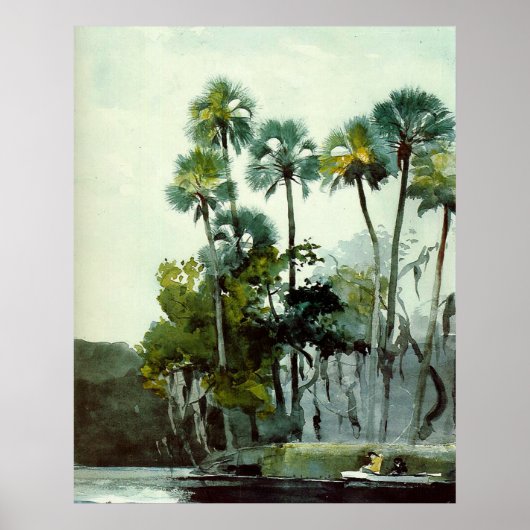 Homer - Homosassa-rivier Poster (Voorkant)