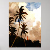Homer - Palm Trees, Bahama's Poster (Voorkant)