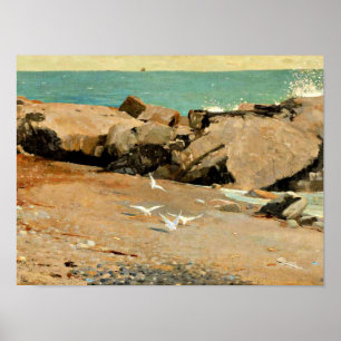 Homer - Rocky Coast and Gulls, fijne kunst Poster
