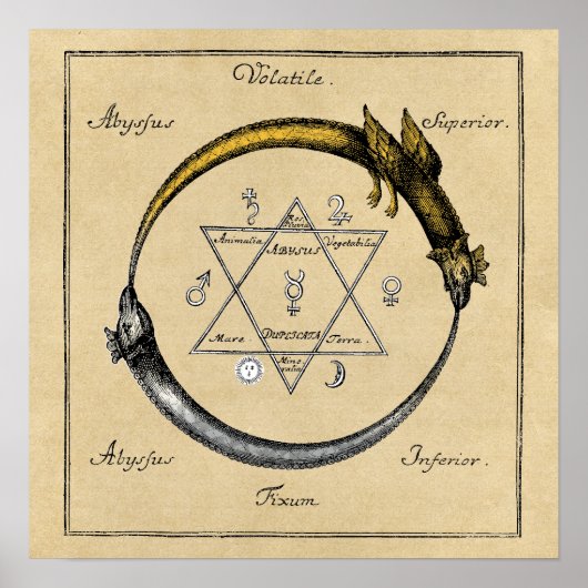 Homer's Dragons Ouroboros Square Poster (Voorkant)