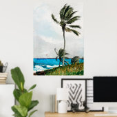 Homer's Palm Tree, Nassau Poster (Thuiskantoor)
