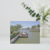 Homes en dokken op het kanaal Marco Island Florida Briefkaart (Staand voorkant)
