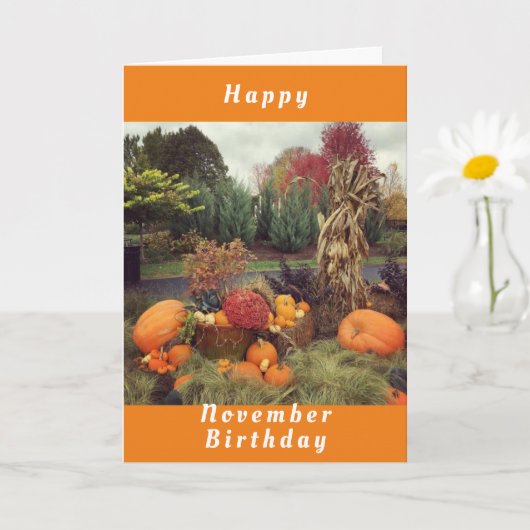 HOMESPUN GREETT *HAPPY NOVEMBER BIRTHDAY* KAART (Kleine Plant)
