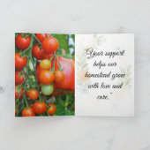 Homestead Harvest Tomato (Binnen)