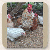 Homestead kip beroep bier onderzetter (Voorkant)