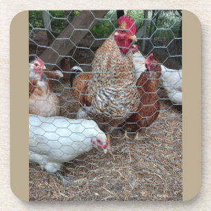 Homestead kip beroep bier onderzetter