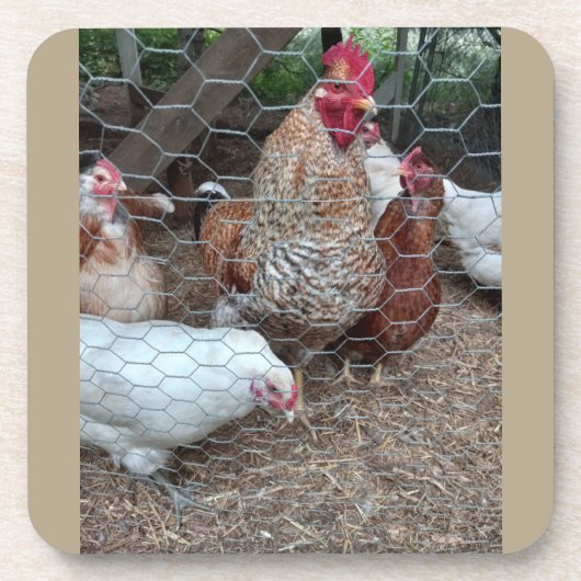 Homestead kip beroep bier onderzetter (Voorkant)