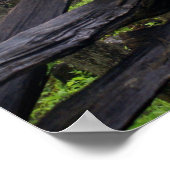 Homestead op een mini-ochtend poster (Hoek)