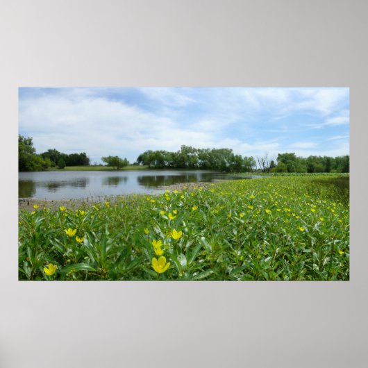 Homestead Pond Poster (Voorkant)