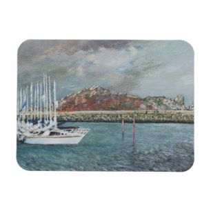 Homet Ierland.26/10/2001 Magneet