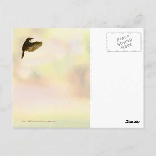 Homeward Bond Briefkaart (Achterkant)